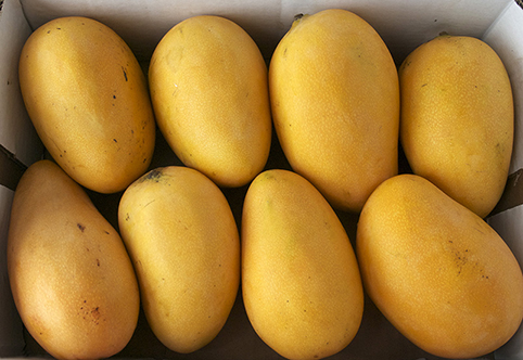 box of mangoes